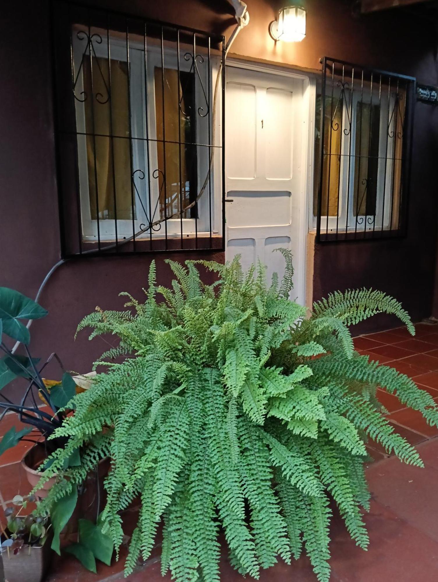 Residencial Los Pinos Puerto Iguazú Exterior foto